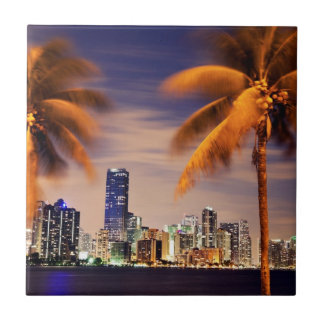 Carreau Horizon des Etats-Unis, la Floride, Miami au