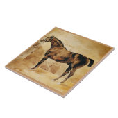 CARREAU HORSE ANGLAISE DE STABLE (Côté)