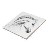 Carreau Horse portrait drawing equestrian art (Côté)