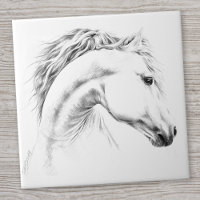 Horse portrait drawing equestrian art