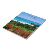 Carreau Horseshoe, Bay Beach, Bermudes (Côté)