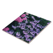 Carreau Hortensia 3 (Côté)