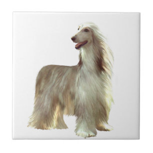 Carreau Hound afghan (B) - debout de faon