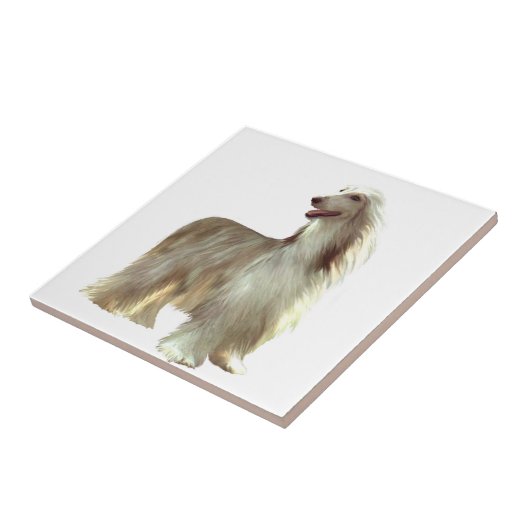 Carreau Hound afghan (B) - debout de faon (Côté)