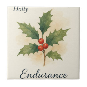 Carreau Houx — Endurance