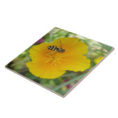 Carreau Hoverfly et California Poppy Tile (Côté)