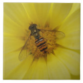 Carreau Hoverfly sur une tuile de Marigold (Devant)