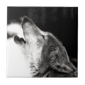 Carreau Howling Wolf (Devant)