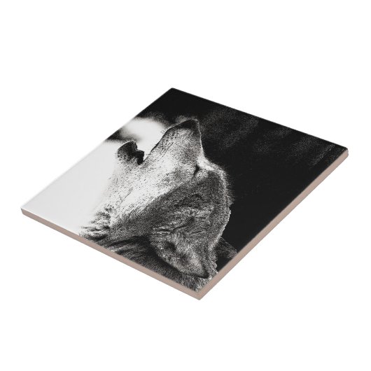 Carreau Howling Wolf (Côté)