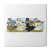 Carreau Huit canards d'appel (Devant)