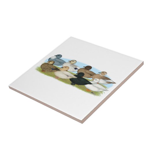 Carreau Huit canards d'appel (Côté)