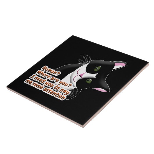 Carreau Humain ? Où es-tu ? Chat (Côté)