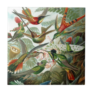 Carreau Humming Birds Paradise Art
