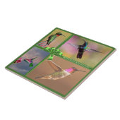 CARREAU HUMMINGBIRD COLLAGE, CITE (Côté)