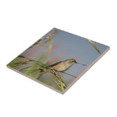 Carreau humongbird (Côté)