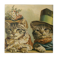 Humour vintage, Chats de mariée victorienne en Cas