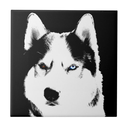 Carreau Husky Dog Art céramique Carrelage Malamute Wolf Do (Devant)
