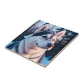 Carreau Husky Stares en hiver (Côté)