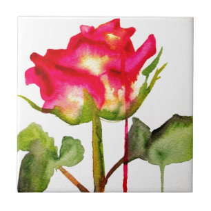 Carreau Hybrid Tea Rose aquarelle art floral moderne