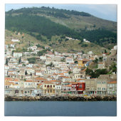 Carreau Hydra (Devant)