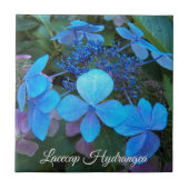Carreau Hydrangea à chapeau de dentelle bleu floral (Devant)