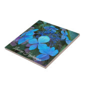 Carreau Hydrangea à chapeau de dentelle bleu floral (Côté)