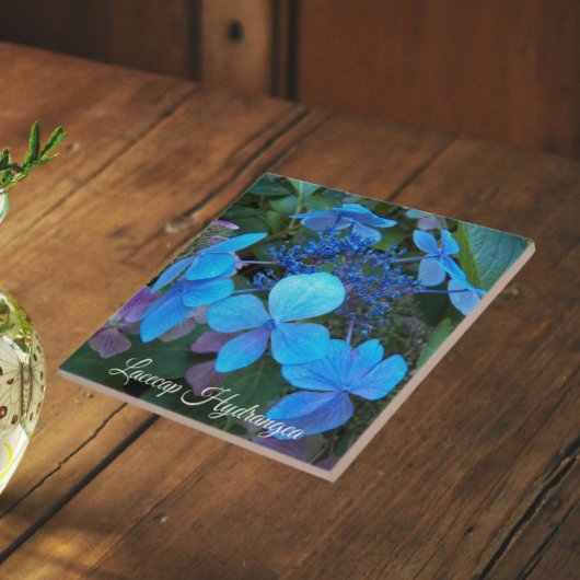Carreau Hydrangea à chapeau de dentelle bleu floral