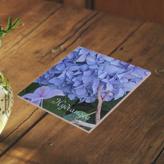 Carreau Hydrangea à Tête Bleue Fleur Florale