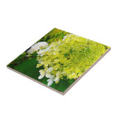 Carreau Hydrangea Limelight Vert Chartreuse Élégant (Côté)