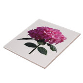 Carreau Hydrangea Rose Délicat (Côté)