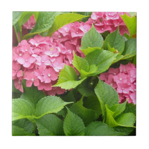 Carreau Hydrangeas Rose Foncé