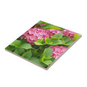 Carreau Hydrangeas Rose Foncé (Côté)