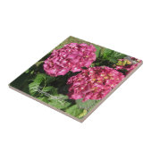 Carreau Hydrangeas roses (Côté)