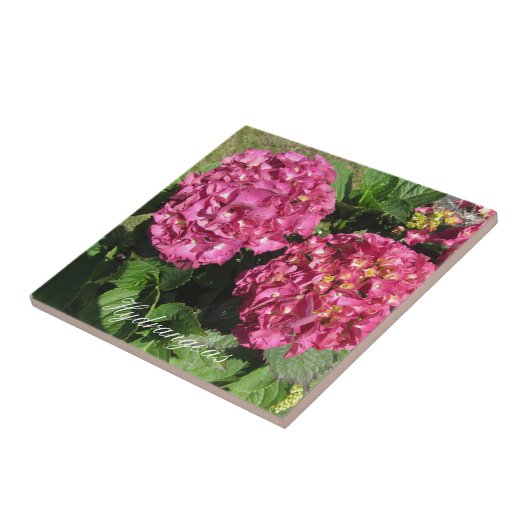 Carreau Hydrangée rose (Côté)