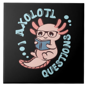 Carreau I Questions Axolotl