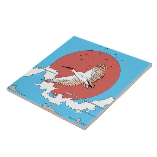 Carreau Ibis à crête en vol (Côté)