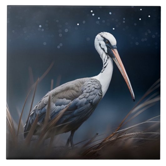 Carreau Ibis à minuit (Devant)