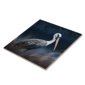 Carreau Ibis à minuit (Côté)