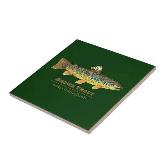 Carreau Ichthyologie latine de la truite Brown (Côté)