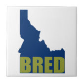 Carreau Idaho Bred (Devant)