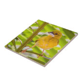 Carreau Il est temps de construire le nid (Côté)