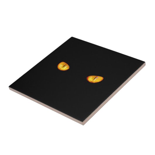 Carreau Il vous voit Chat Noir (Côté)