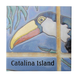 CARREAU ÎLE CATALINA CARRELAGE CÉRAMIQUE FACE DE CATYALINA