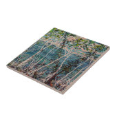 Carreau Île de Mackinac (Côté)