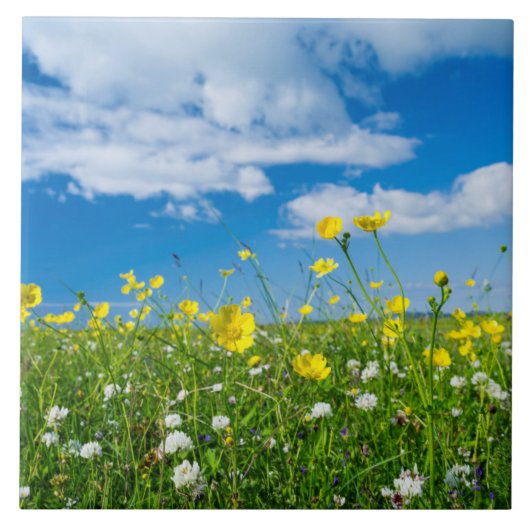Carreau île de South Uist | Écosse (Devant)