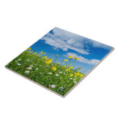 Carreau île de South Uist | Écosse (Côté)