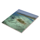 Carreau Île de Wadigi, Îles Mamanuca, Fidji (Côté)