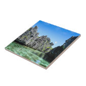 Carreau Îles Bacuit (Côté)