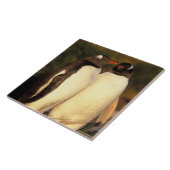 Carreau Îles Falkland. Manchots gentoo. (Pyroscelis (Côté)