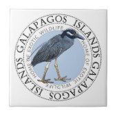 Carreau Îles Galapagos (Devant)